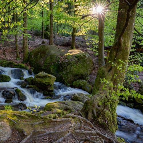 Gutschein Fotoworkshop