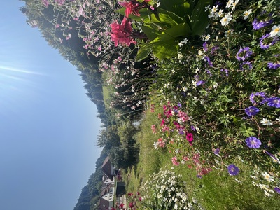 Blumentalvielfalt – Sabrina Reutebuch