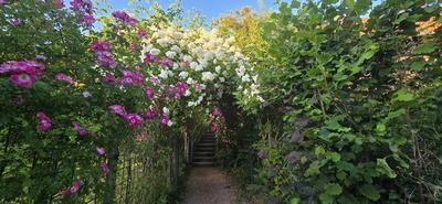 Treppenaufgang Tal X – Herr Kleynsteuber