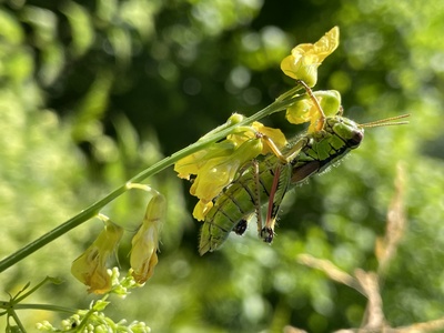 Sonnenzeit – Christina Dickhaus