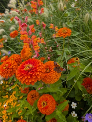 Perfekter Match – Peggy Glaser