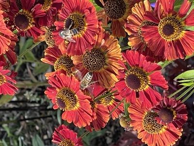 Eyecatcher – Alexandra Burkhardt