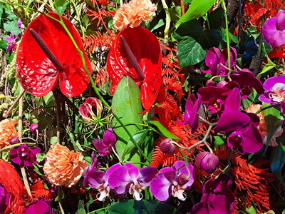 Exotische Blütenpracht – Margarethe Menger