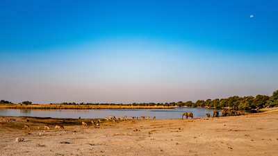 Okavangodelta – Daniel Hunger