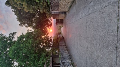 Morgenstimmung – Susanne Stamp