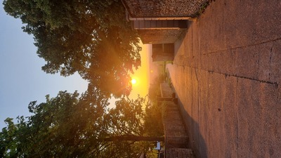 Frühspaziergang – Susanne Stamp