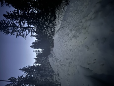 Die Loipe in der Nacht – Lara Vorsthove