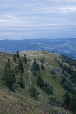 Ein Pfad mit Aussicht, Belchen – Milena Villinger Rodriguez