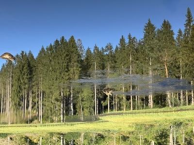 Verkehrte Welt – Jutta Berner